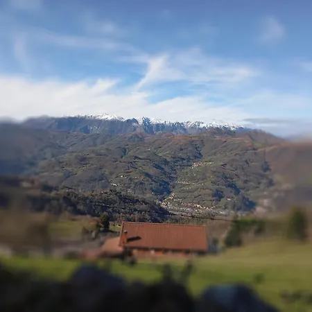 La Casina De Asturias Villa Mieres  Buitenkant foto