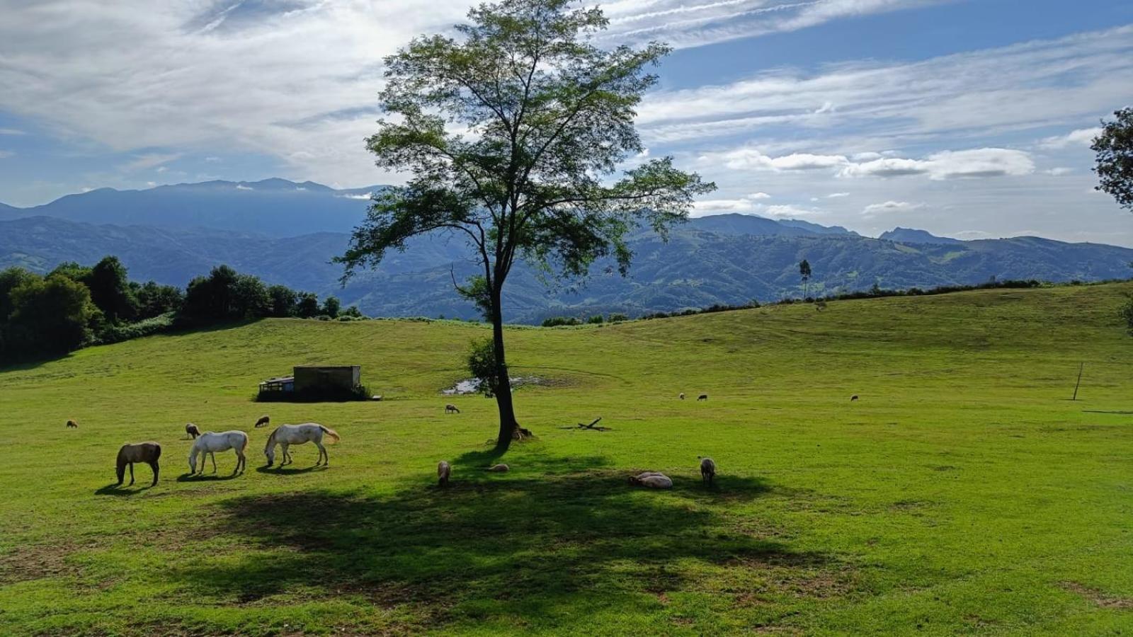 Ferienhaus La Casina De Asturias Mieres (Asturias)