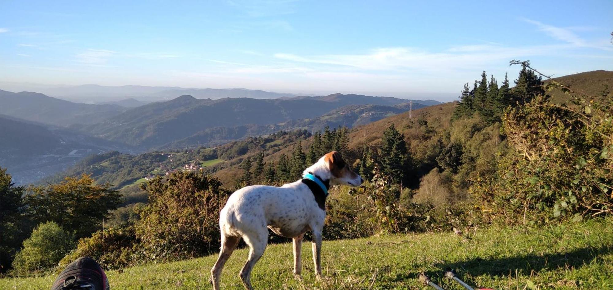 La Casina De Asturias Holiday home *